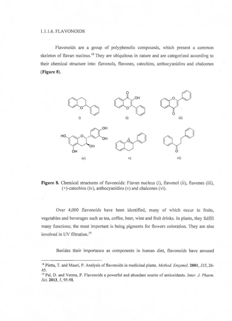 Figure  8.  Chemical  structures  of  flavonoids:  Flavan  nucleus  (i),  flavonol  (ii) ,  flavones  (iii) , 