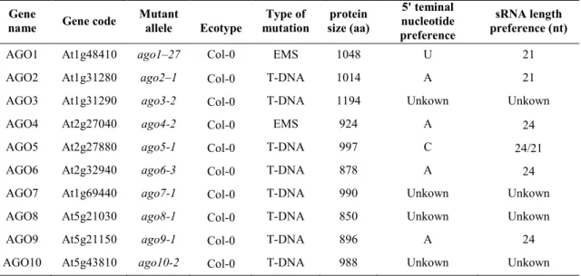 Table 1-2 The 5' terminal nucleotide and size preferences of Arabidopsis AGOs    (Kim et al 2011, Vaucheret 2008)