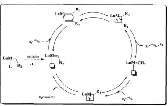 Figure  1.10  Mécanisme de  la  métathèse 