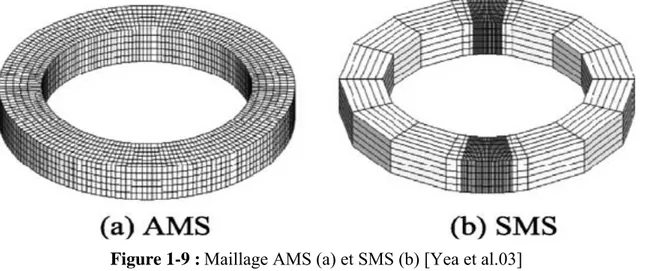 Figure 1-9 : Maillage AMS (a) et SMS (b) [Yea et al.03]