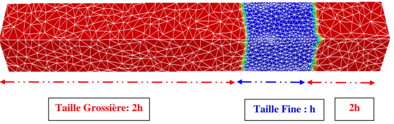 Figure 3-4 : Déraffinement par un facteur de deux dans la ZFD 