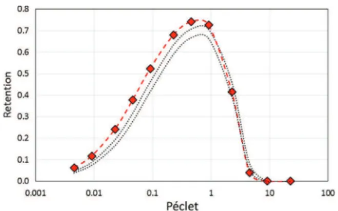 Fig. 4. The transient variation of the volume fraction, ϕ, along z (the vertical lines represent the membrane thickness-full lines and the exclusion layers-dashed lines)