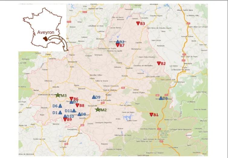 FIGURE 3 | Map of the Aveyron department and location of the case study cattle farms: 9 (D)airy (blue), 2 (M)ixed (green) and 8 (B)eef (red)