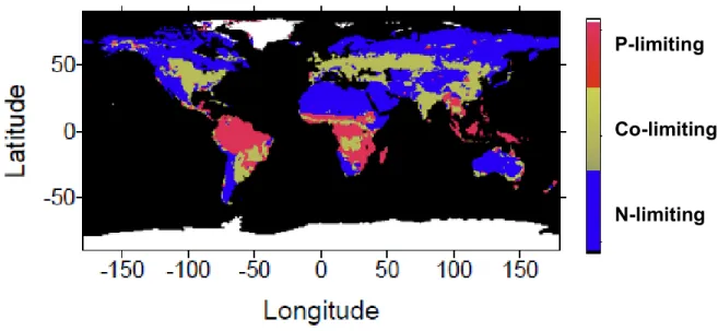 Figure 3 : Répartition des zones de limitation en N, P (D’après Wang et al. 2010). 