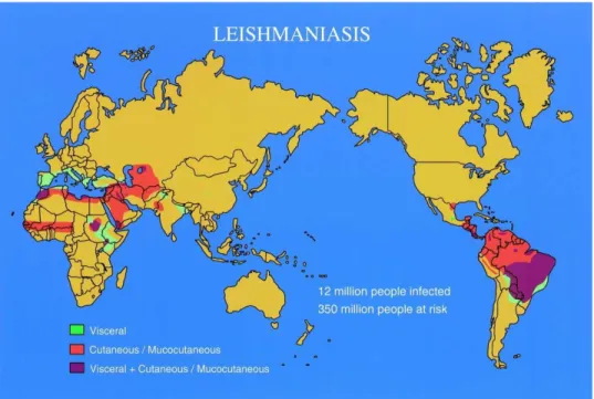 Figure 1. 1: distribution de la leishmaniose dans le monde (Handman, 2001). 