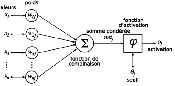 Figure 2. 3: Modèle réduit de fonctionnement du réseau de neurones artificiels (George F
