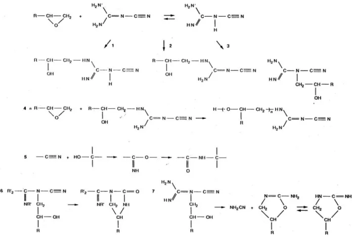 Figure I - 6 : Mécanismes réactionnels possibles entre une résine époxydique et la DDA  [Grenier Loustalot et coll., 1991]