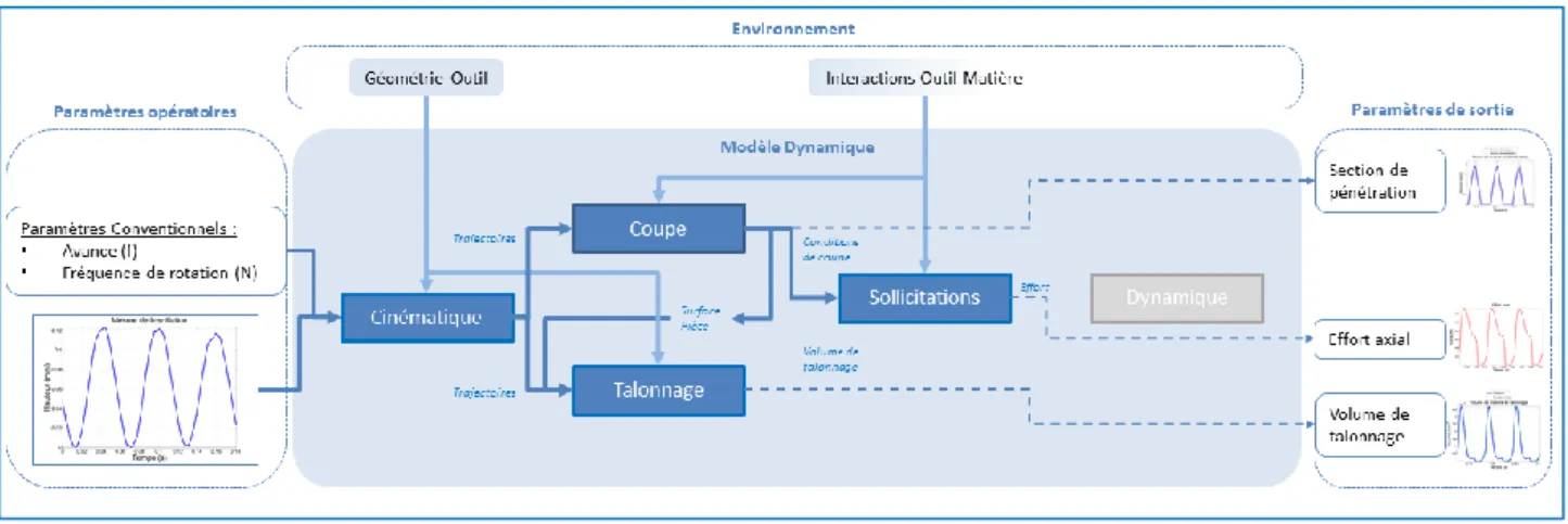 Figure II-5 : Structure du modèle en analyse des données expérimentales. 