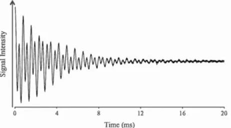 Figure  2.3  Example  of  free  induction  d ecay  (F ID)  of  a  bin ary  mi x tur e  of 