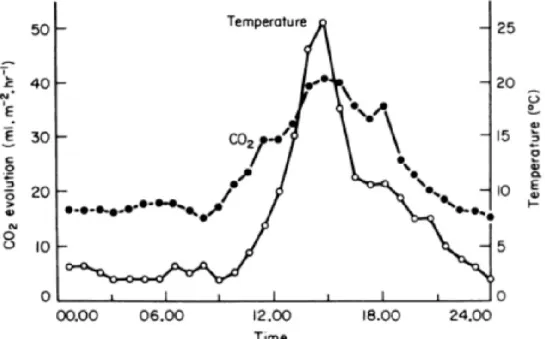 Figure 4. Diurnal fluctuation in decomposition rate. The diurnal cycle of temperature 