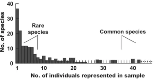 Figure 5. A typical species-abundance distribution, from (Krebs 1999). 
