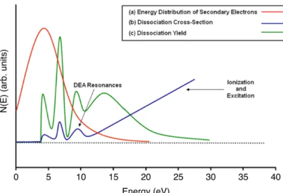 Figure 1.5 – (a) Schematic energy distribution of secondary electrons generated during a primary ionizing event which means the energy distribution of the secondary electrons demonstrate that the majority of these electrons have energies below 10 eV