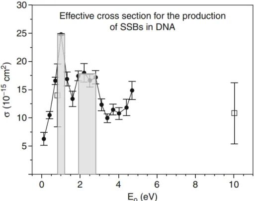 Figure 1.7 – Effective cross sections (σ ) for the formation of SSB in plasmid DNA by 0.1– 4.7 eV electrons