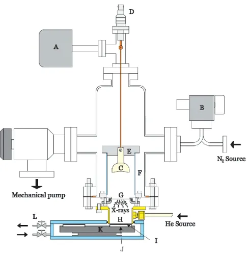 Figure 7. A schematic diagram of the experimental setup for irradiating DNA samples with  X-rays  photons