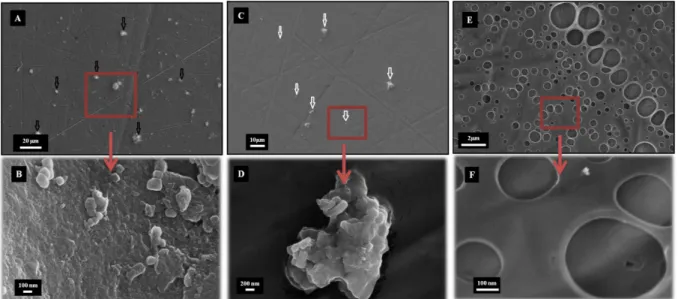 Fig. 4 The SEM images of coated Ti plates with low (A) and high (B) magnification of HAp-PLA 