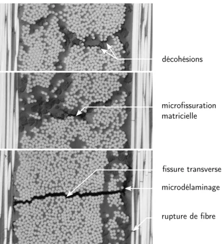 Figure 1.2 – Mécanismes d’endommagement à l’échelle de la fibre et à l’échelle du pli.