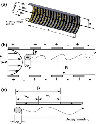 Figure 2.14 Schematic of a patterned microchannel geometry with Poiseuille flow profile  [188]