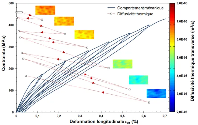 Figure 2.35  Evolution de la diusivité thermique radiale moyenne d'un composite SiC f /SiC tubulaire