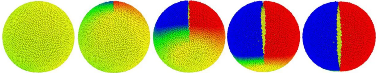 figure 4.16 . Le code couleur correspond au déplacement perpendiculaire à la propagation de fissure afin de mettre en évidence l’ouverture en mode I de la sphère creuse