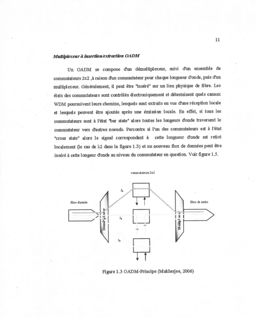 Figure 1.3 OADM·Principe (Mukherjee,  2006) 