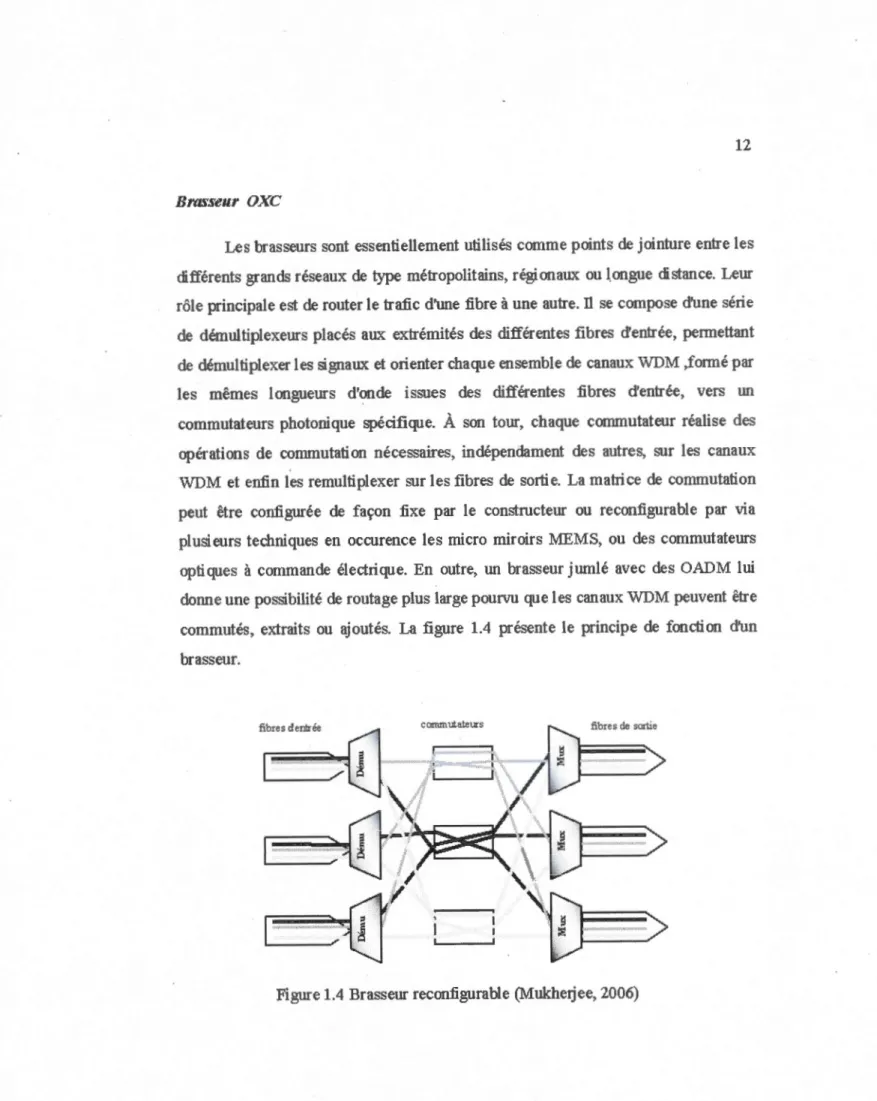 Figure 1.4 Brasseur reconfigurable (Mukherjee, 2006) 