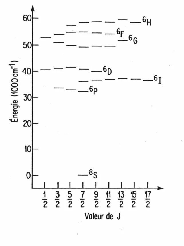 FIG.  1.  Niveaux  d'énergie de  l'état  électronique  [Xe]  4f7  de  l'ion  Gd3+. 