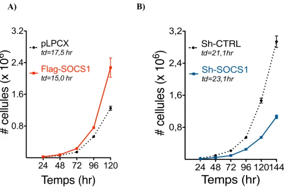Figure 10. SOCS1 augmente la croissance cellulaire du modèle CT26/CT36 
