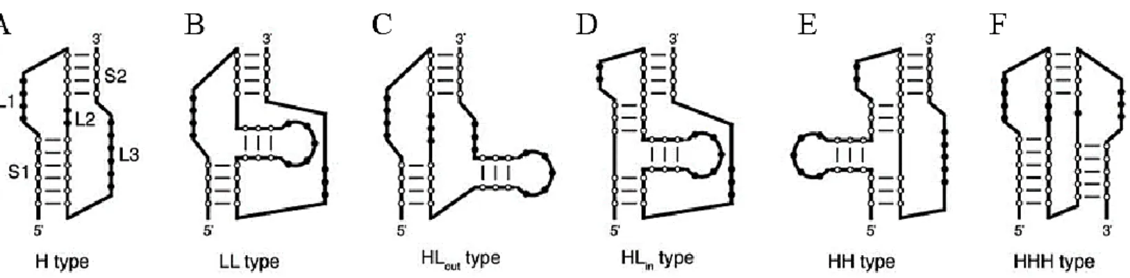Figure 7. Classification des pseudonoeuds selon leurs arrangements 2D. Ils sont classés en 