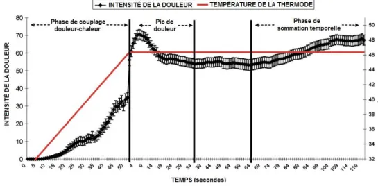 Figure 9 - Évaluation de la douleur pendant un stimulus thermique de deux minutes. 