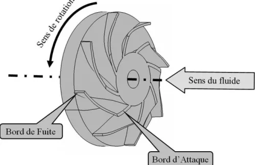 Figure I.3 : Définition du Bord d'Attaque et du Bord de Fuite. 