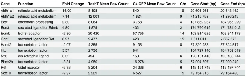 Table 2. Deregulated genes in e12.5 TashT Tg/Tg eNCC that have been implicated in HSCR and/or ENS formation.