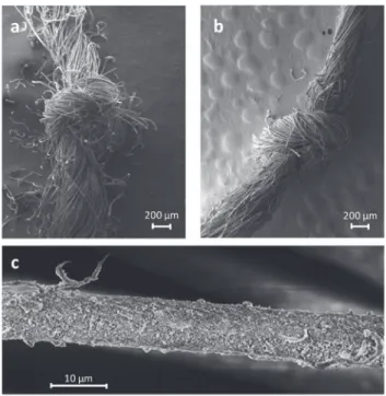 Fig. 6 SEM pictures of wool fibers coated by PPy mineralized with TiHA25. Surface of the WAP fibers after mineralization at increasing magnification (a and b); surface of the WEAP5 (c and d) and WEAP10 (e and f) fibers after mineralization at increasing ma