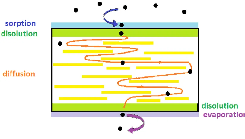 Figure 6 Scheme of the gas permeability mechanisms in a clay nanocomposite system 
