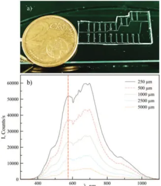 Fig. 1. a) Picture of a PDMS photonic lab on a chip describing 5 di ﬀerent optical paths (0.25, 0.5, 1