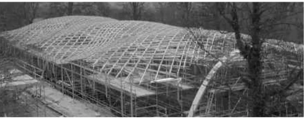 Fig. 1.20 – La structure du gridshell de Downland en cours de montage.