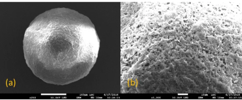 Figure 3: SEM images of HQ-silica composite material: (a) full particle and (b) external surface