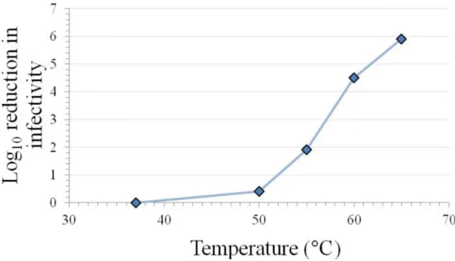 Figure 8 : Inactivation de la souche F9 du calicivirus félin, à différentes températures, [93]