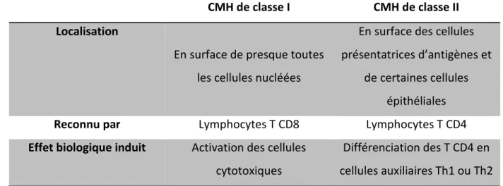 Tableau 4 : Principales caractéristiques des CMH de classe I et II, d’après [19] 