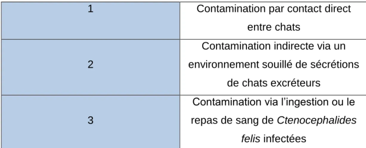 Tableau 8 :  Récapitulatif des principaux modes de contamination, classés par importance, d’après [23] et [86] 
