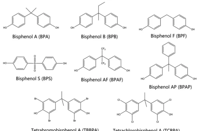 Figure 11 : Structure du BPA et de ses analogues structuraux. 