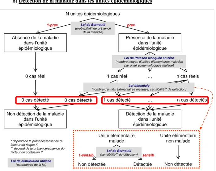 Figure 6 : Schéma de simulation des données relatives à la maladie étudiée 