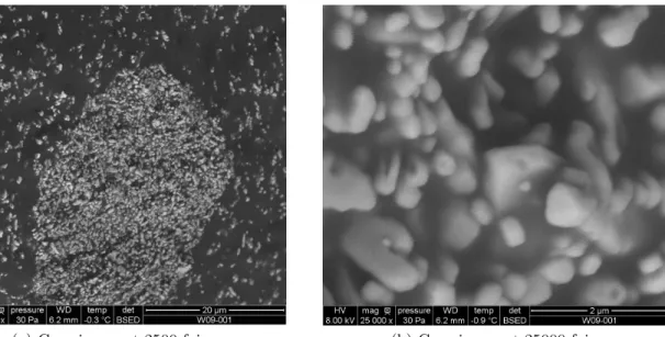 Figure 1.11 – Image d’un sel NaNO 3 obtenue au MEB environnemental par contraste chimique, grossissement 2500 fois