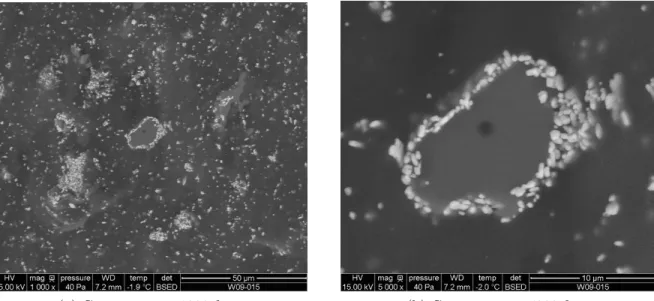 Figure 1.12 – Images du bi-sel BaSO 4 -NaNO 3 obtenues au MEB environnemental par contraste chimique