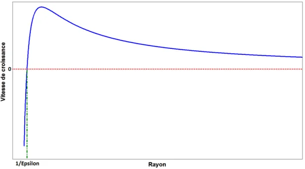 Figure 2.4 – Vitesse de croissance des bulles en fonction de leur taille