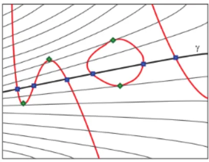 Figure 3. Points d'intersection et points de contact d'une solu- solu-tion séparante γ avec une courbe algébrique (en rouge)