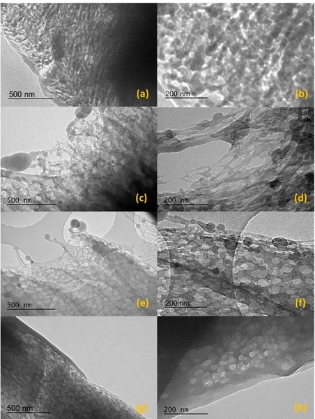 Figure 4. TEM images of (a, b) α HQ, (c, d) CO 2 HQ, (e, f) CO 2 /CH 4 HQ, and (g, h) CH 4 HQ clathrates.