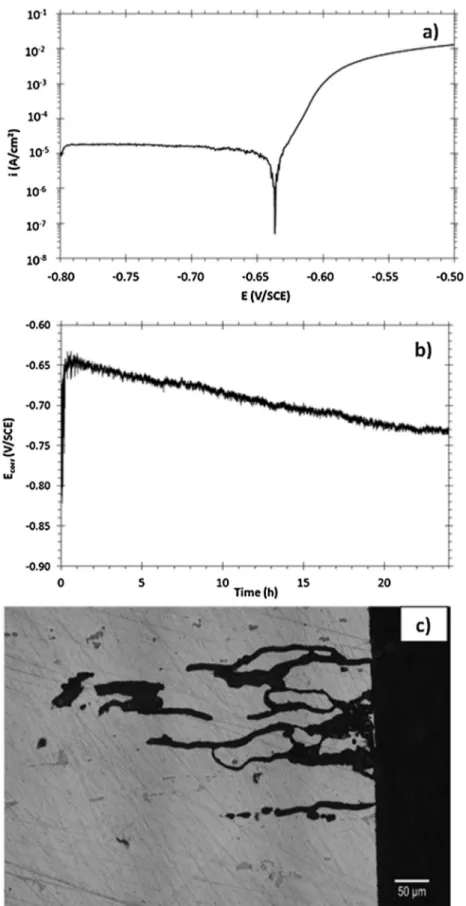 Fig. 1. a) Polarization curve of the AA2024 sample in a 1 M NaCl solution, b) E corr versus the exposure time to 1 M NaCl solution, c) Optical micrograph of intergranular corrosion defects formed after a 24 h exposure at E corr in a 1 M NaCl solution.