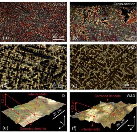 Fig. 2. Optical examination of as-cast quaternary alloy before corrosion (tint etchant Klemm III): (a) as-cast alloy with large dendritic structure (mm size); (b) cross-section with vertical preferential orientation of the dendrites linked to cooling tempe