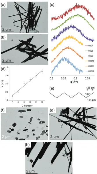 Fig. 3 TEM micrographs of the self-assemblies after addition of 0.2 eq. of alkyl ligands: (a) HSC 8 , (b) HSC 12 