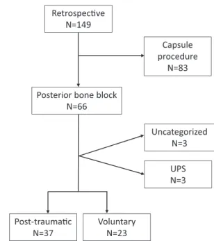 Fig. 1. Study ﬂow chart for inclusions (UPS: unstable painful shoulder).